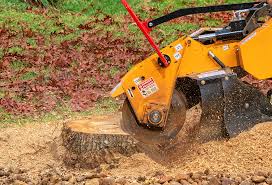 Lawn Edging in Burnettown, SC